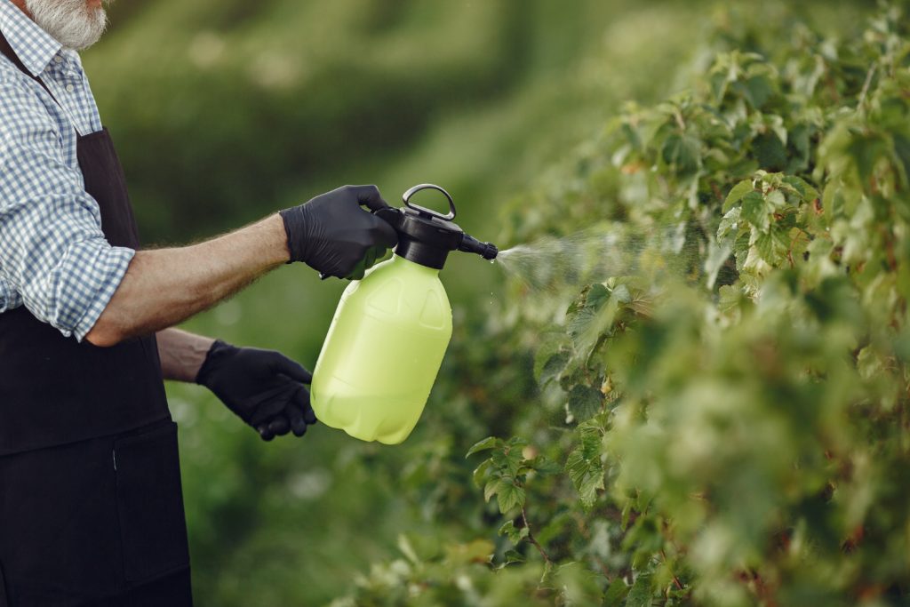 TOP 10 des ravageurs les plus courants en agriculture : caractéristiques et signes