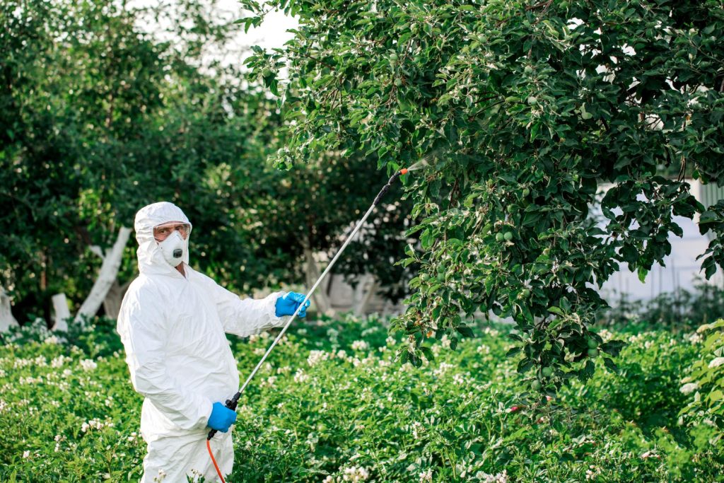 Par où commencer la surveillance des ravageurs : 5 conseils d’un agronome